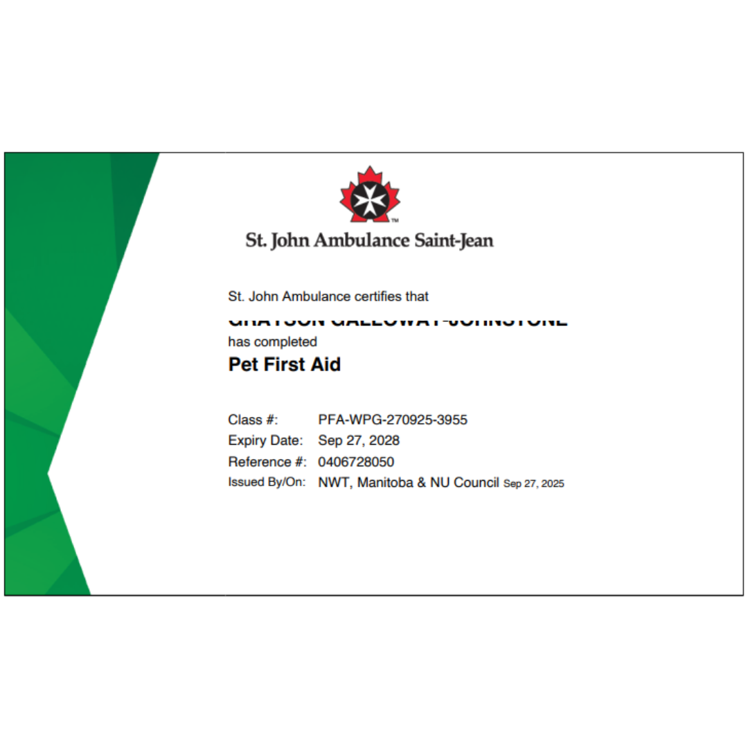 GGJ Canine First Aid certification
